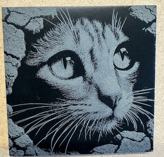 Peekaboo cat Slate coaster (set of 4) 10cm square